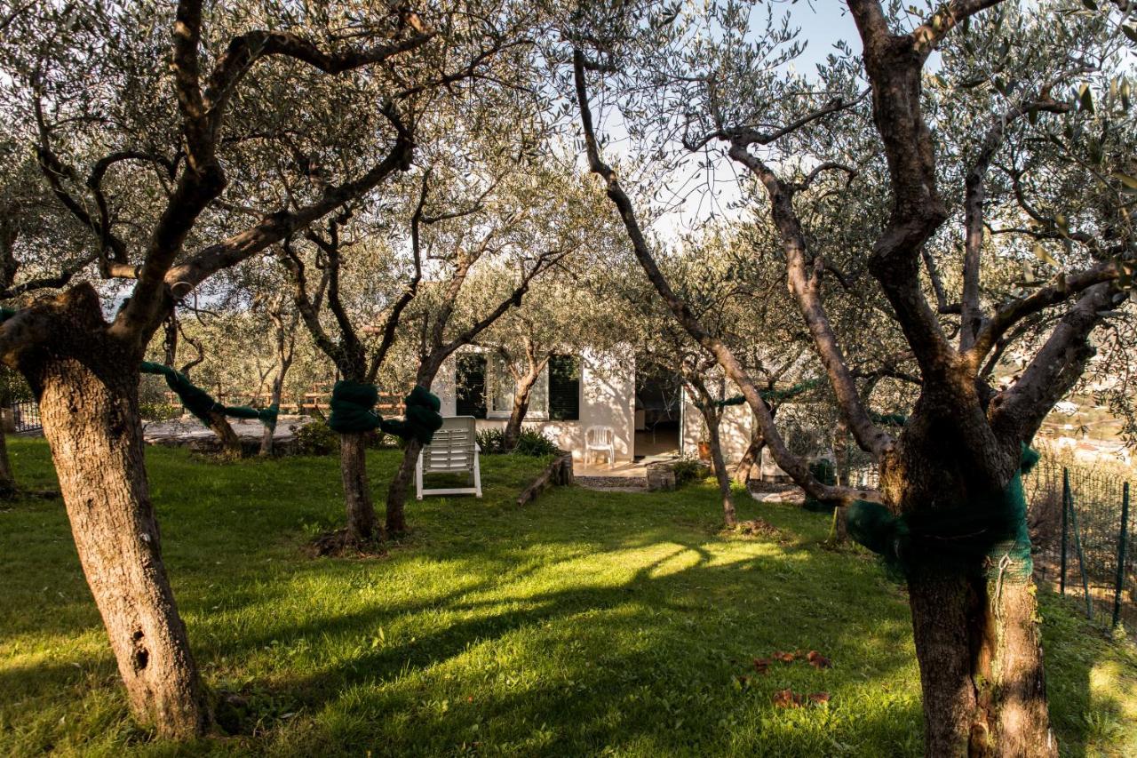 Agri Bed - L'Affittacamere In Collina - Guest Room On The Hill Lavagna Exterior foto